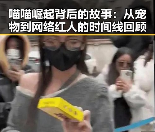 喵喵崛起背后的故事：从宠物到网络红人的时间线回顾