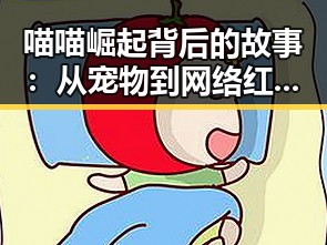 喵喵崛起背后的故事：从宠物到网络红人的时间线回顾