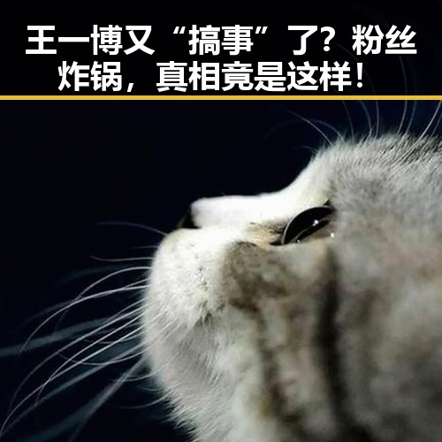 王一博又“搞事”了？粉丝炸锅，真相竟是这样！