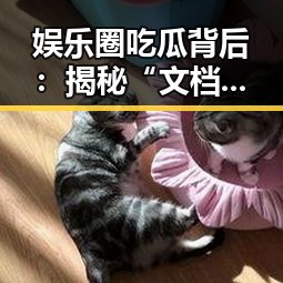 娱乐圈吃瓜背后：揭秘“文档”引发的行业震动